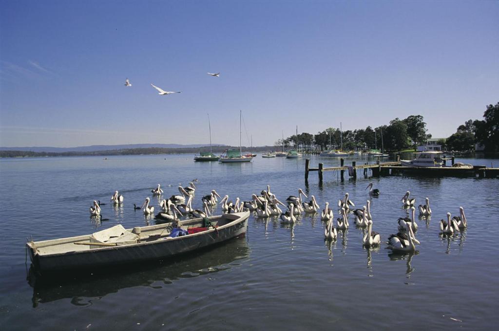 Black Swan Waterfront Motel (Adults Only) Swansea Extérieur photo