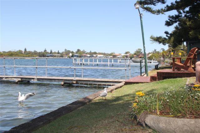 Black Swan Waterfront Motel (Adults Only) Swansea Extérieur photo